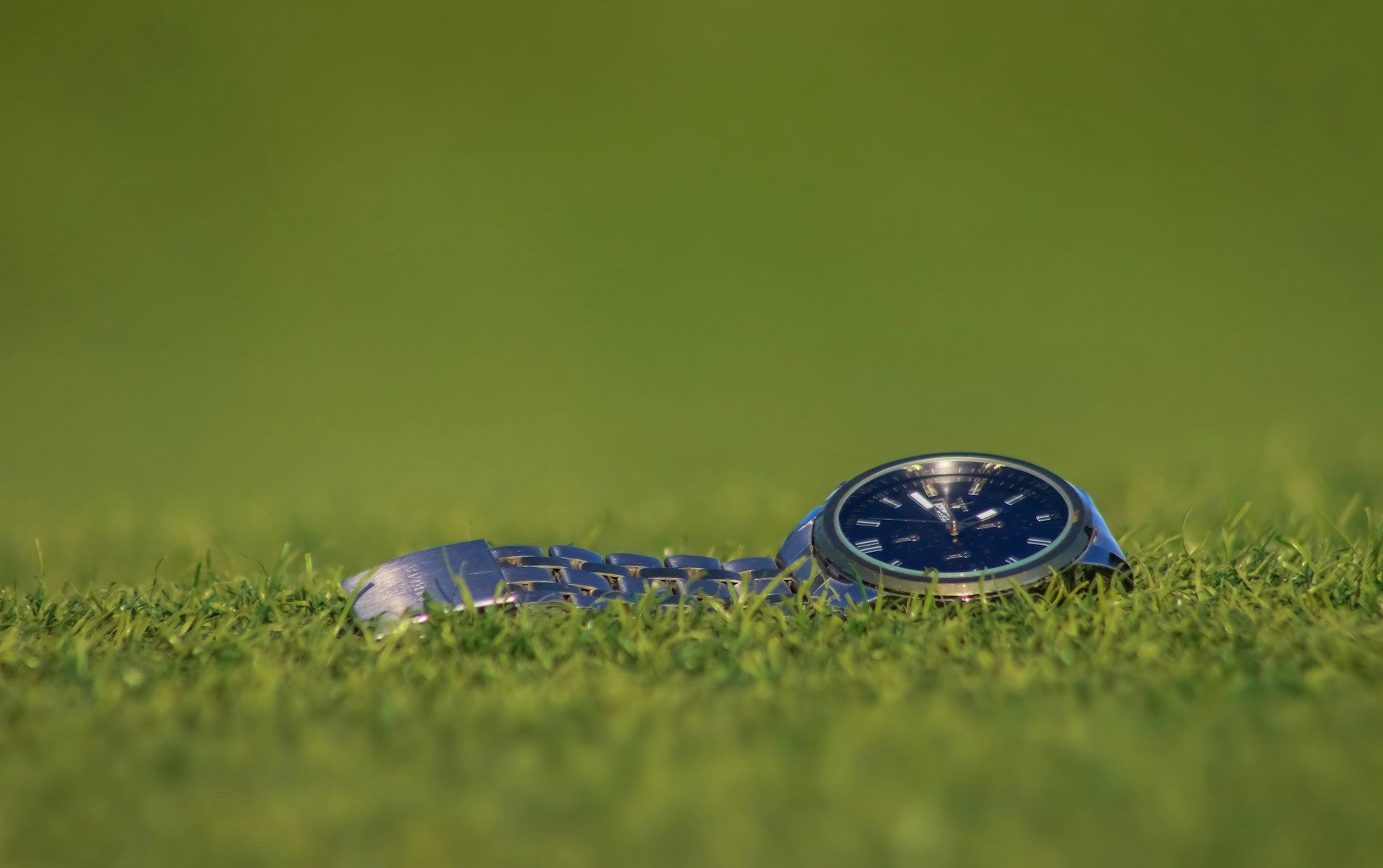 Watch resting on grass